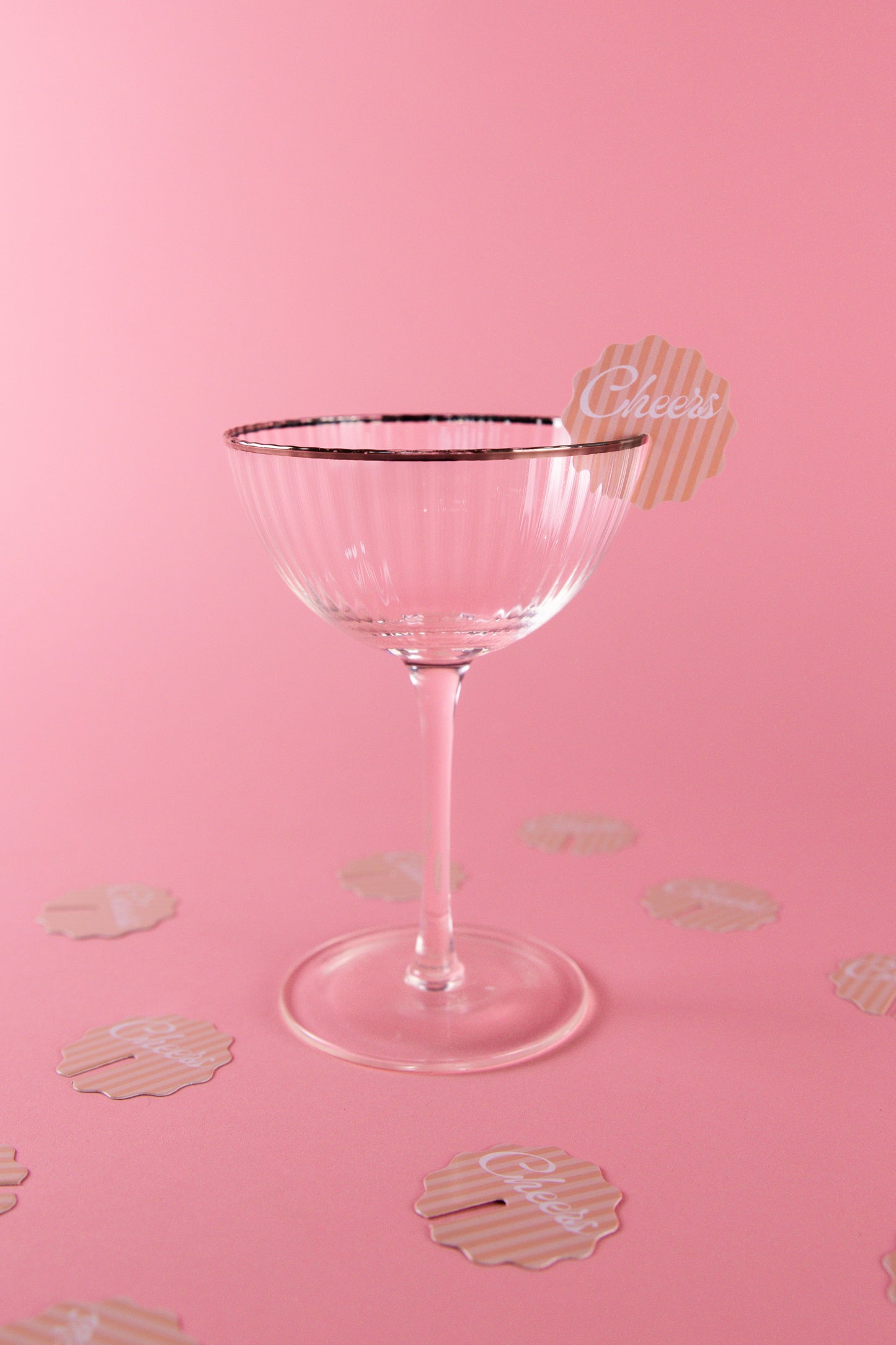 Cocktail Party Bundle - Bachelorette Decor